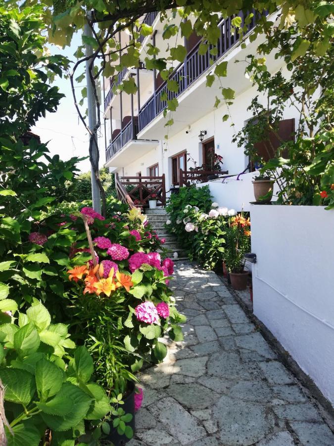 Hotel Erato Chorefton Extérieur photo